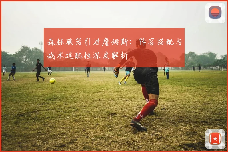 森林狼若引进詹姆斯：阵容搭配与战术适配性深度解析